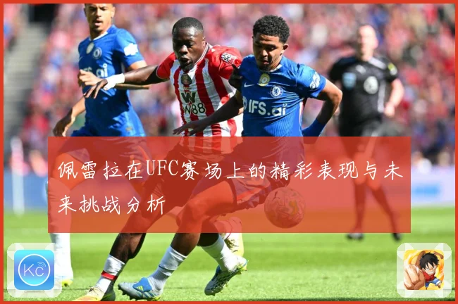 佩雷拉在UFC赛场上的精彩表现与未来挑战分析