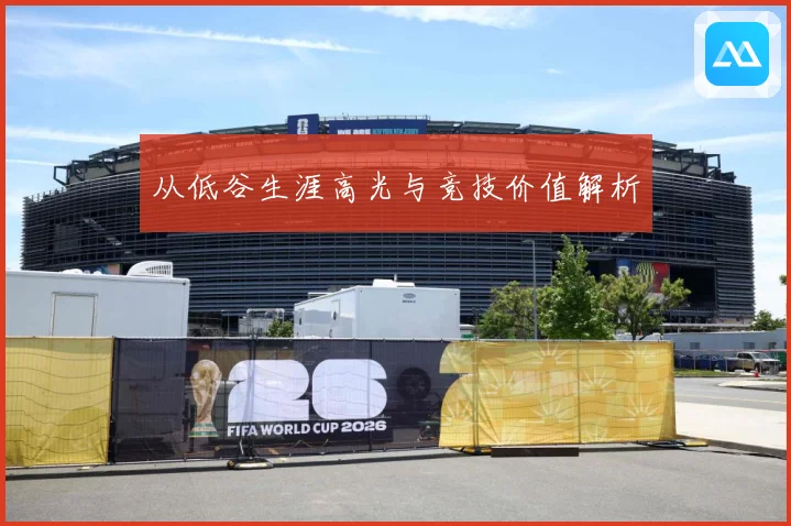 从低谷生涯高光与竞技价值解析
